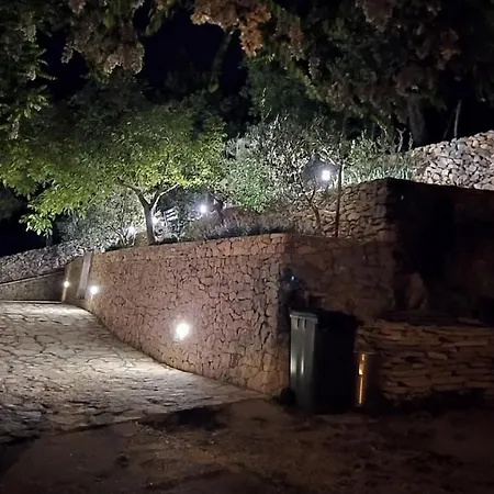 Elvis * بلومين