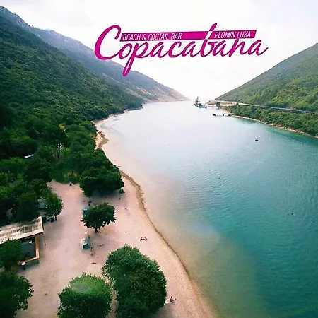 Elvis * بلومين